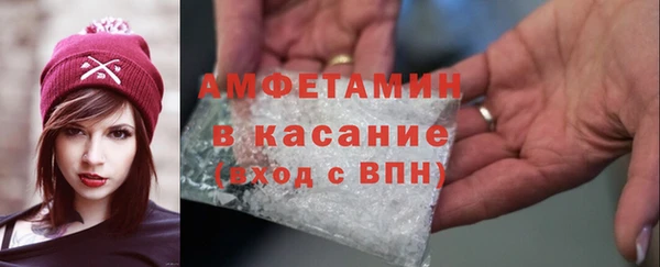 трава Ельня