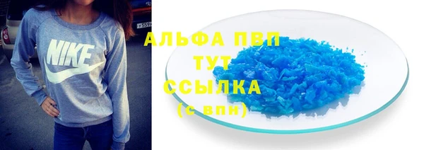 трава Ельня