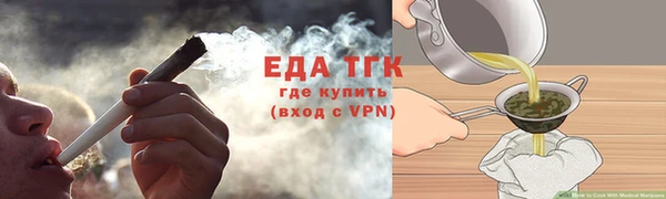 трава Ельня
