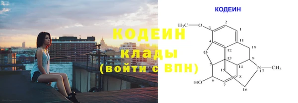 трава Елабуга