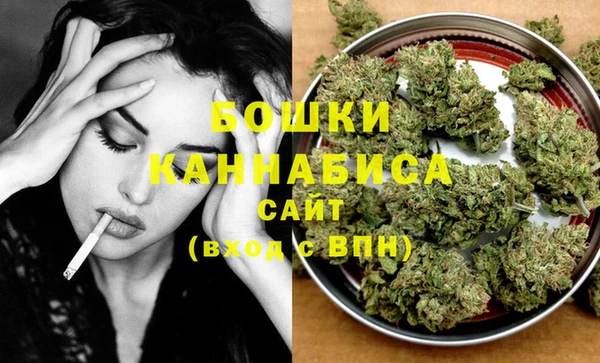 трава Ельня