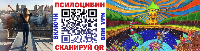 Псилоцибиновые грибы Psilocybe Купить закладки Сегежа